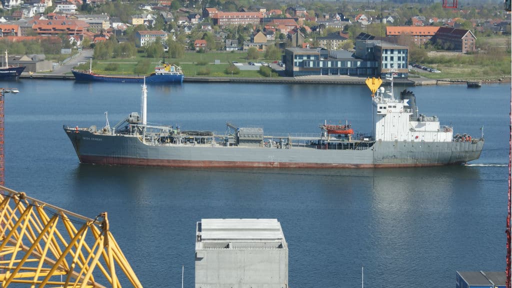 Fishing at Aalborg Harbour 